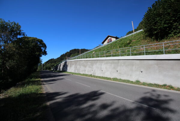 Vailly (Haute-Savoie) – Paroi clouée définitive